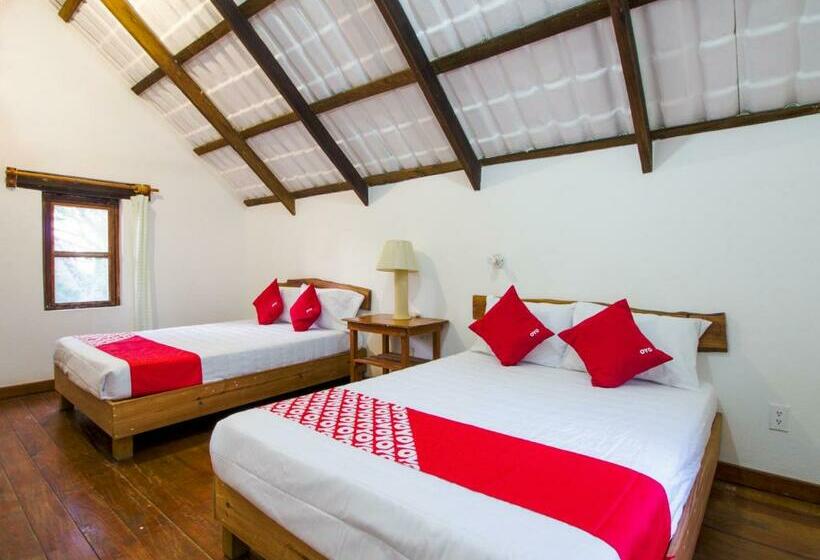 호텔 Villas Palmira  Beach Front