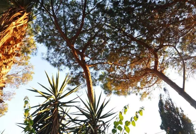 پانسیون Le Mãƒâ nnare Case Vacanze Di Metopa Srl