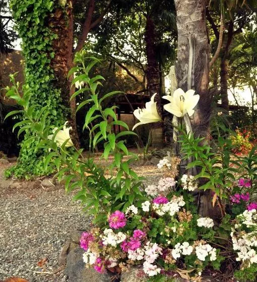 پانسیون Le Mãƒâ nnare Case Vacanze Di Metopa Srl