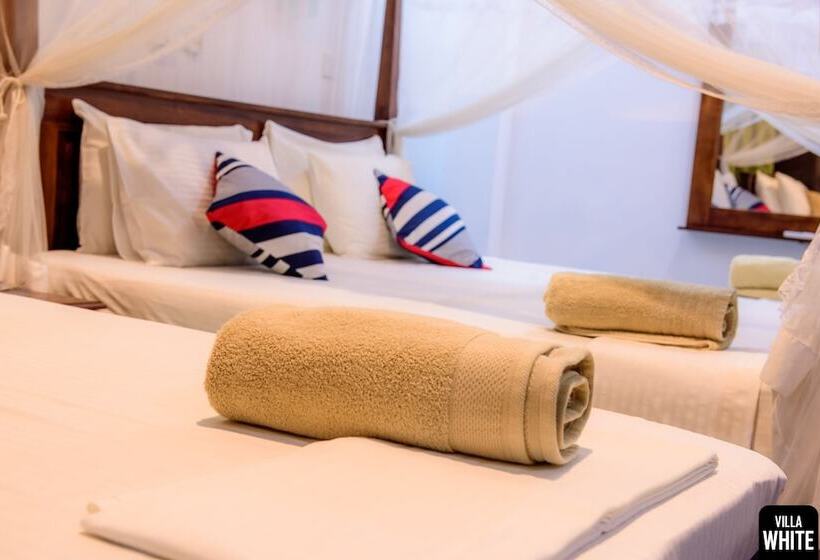 פנסיון Villa White