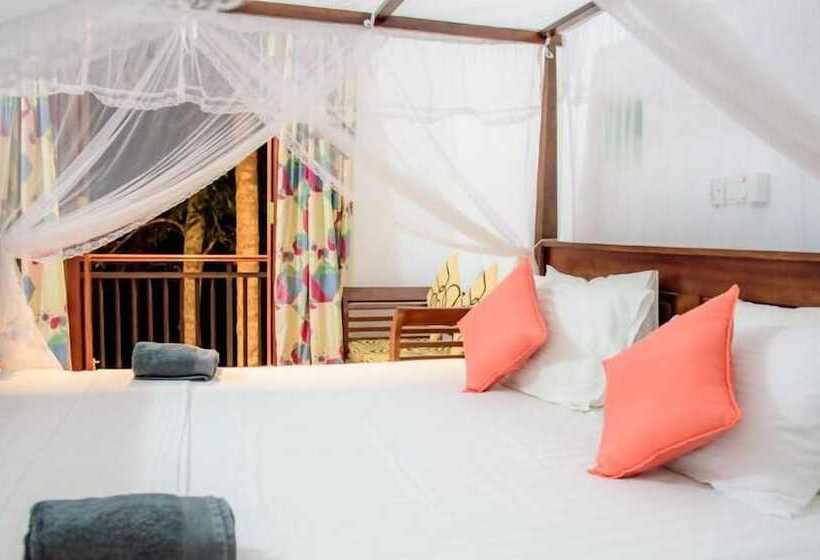 פנסיון Villa White