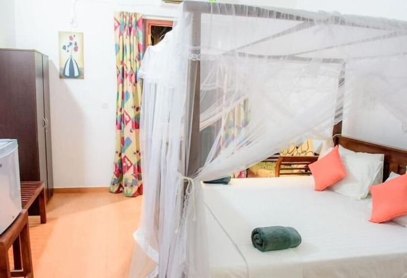 פנסיון Villa White