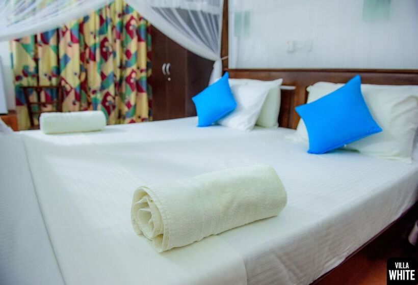 פנסיון Villa White