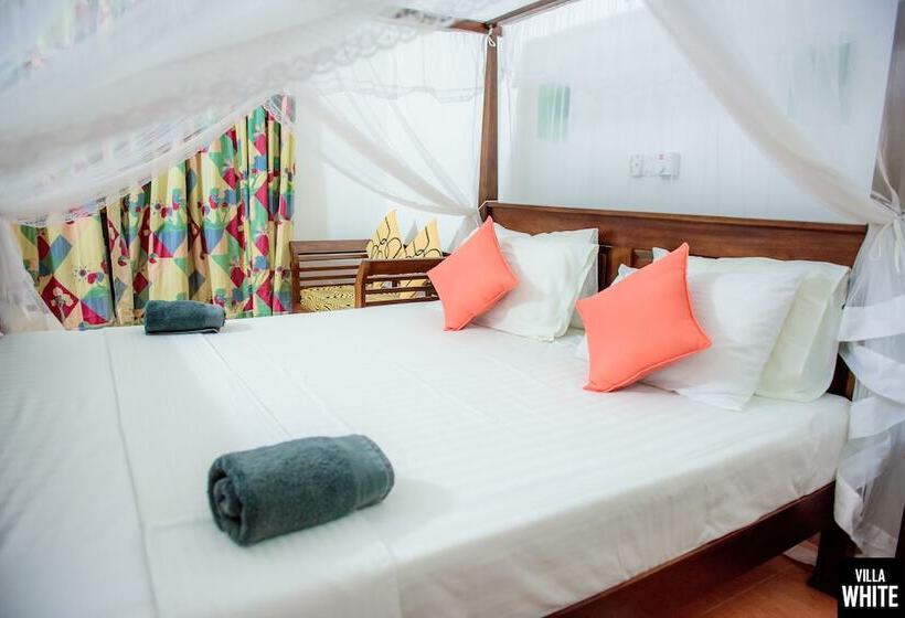 פנסיון Villa White