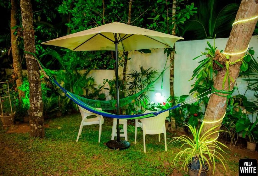 פנסיון Villa White