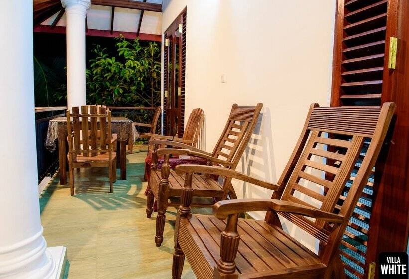 פנסיון Villa White