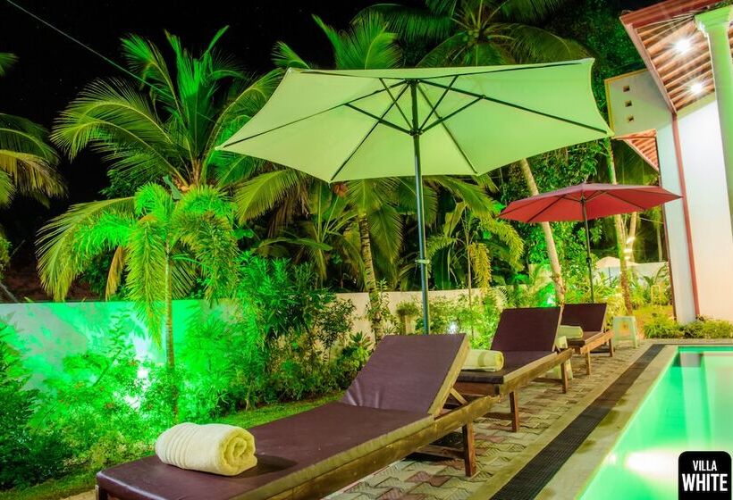 פנסיון Villa White