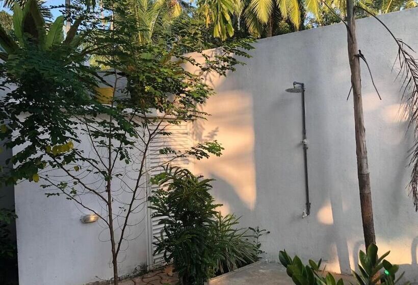 פנסיון Villa White