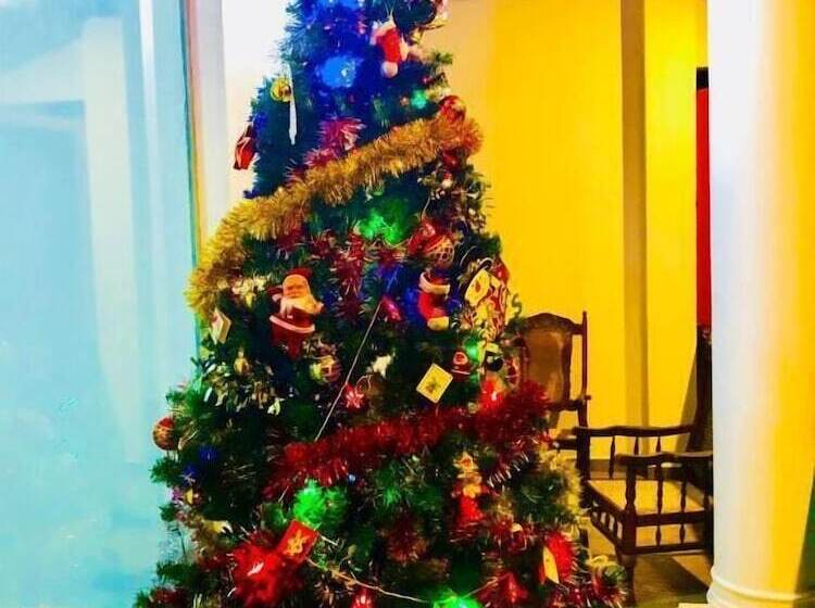 פנסיון Villa White