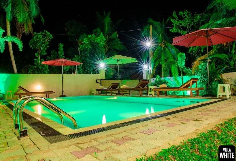 פנסיון Villa White