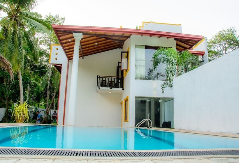 פנסיון Villa White