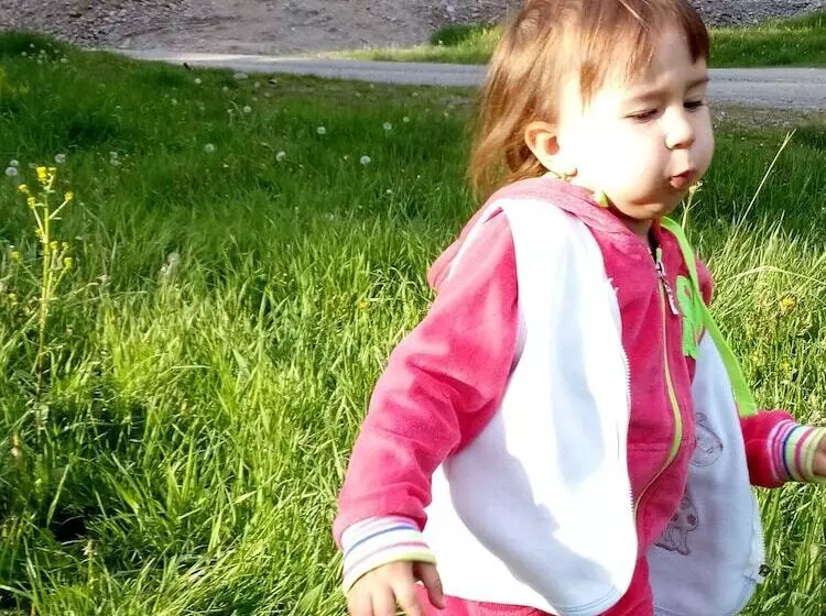 Pensiunea Cabana Sestina