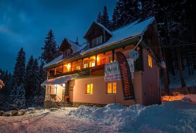 Pensiunea Cabana Sestina