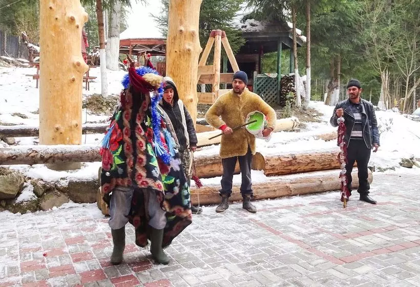 Pensiunea Cabana Sestina