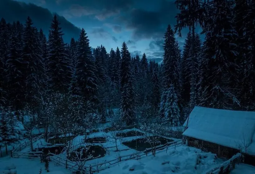 Pensiunea Cabana Sestina