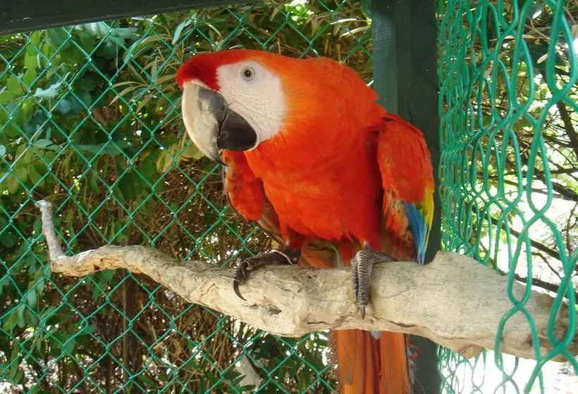 Hotel Captain Oliver's Resort & Marina