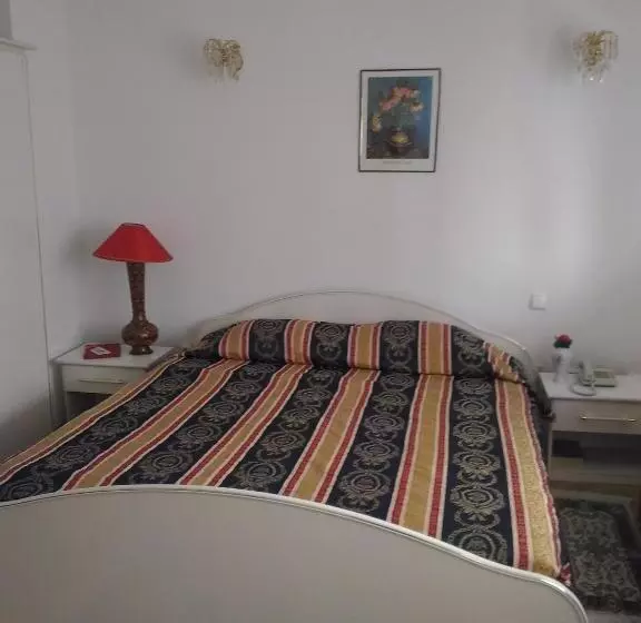 هتل Pensiunea Helvetia