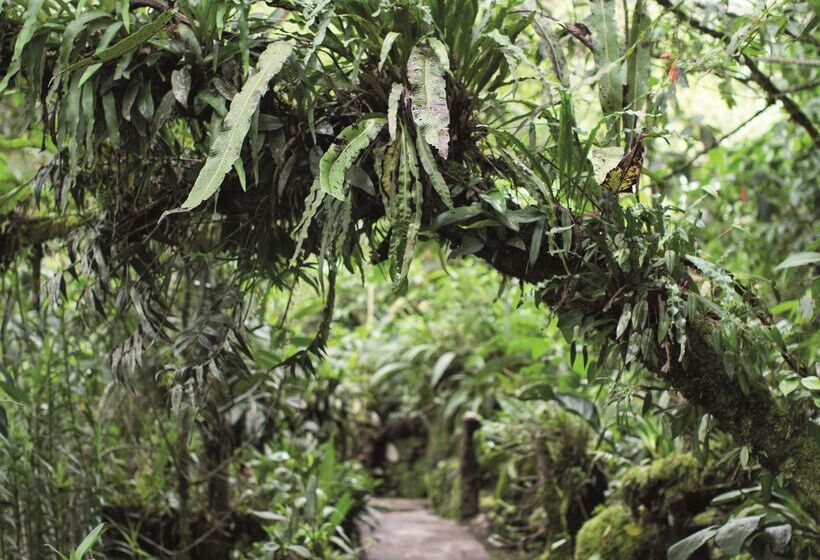 Sanctuary Lodge, A Belmond Hotel, Machu Picchu