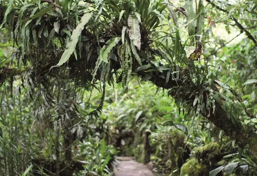 Sanctuary Lodge, A Belmond Hotel, Machu Picchu