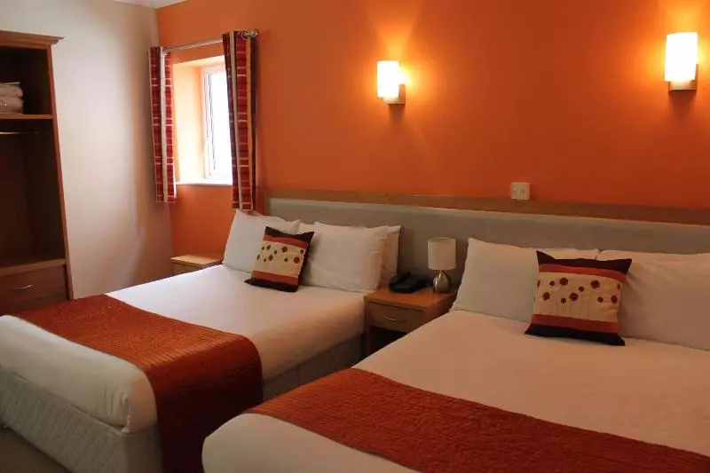 בית מלון כפרי Sarsfield Bridge