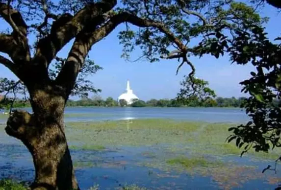 تختخواب و صبحانه Althi Home Stay