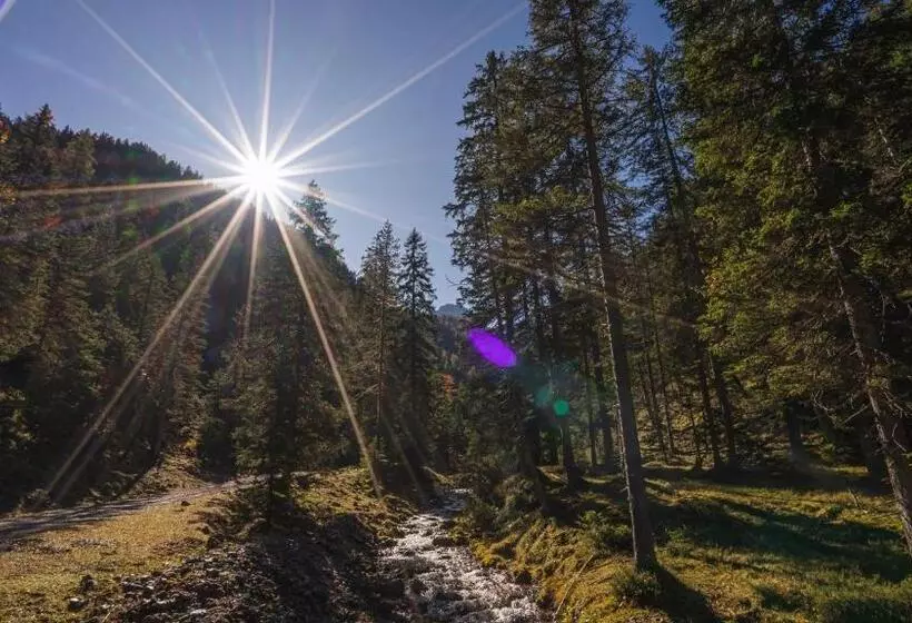 Aamiaismajoitus (B&B) Garni Isarlodge Wiesenhof