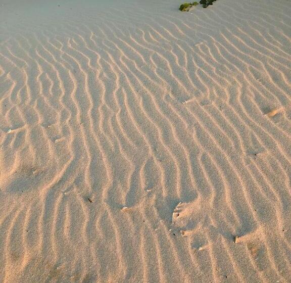 ホテル Club De Patos