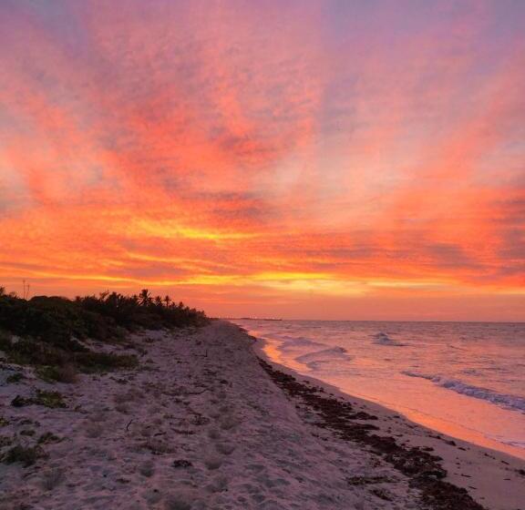 ホテル Club De Patos