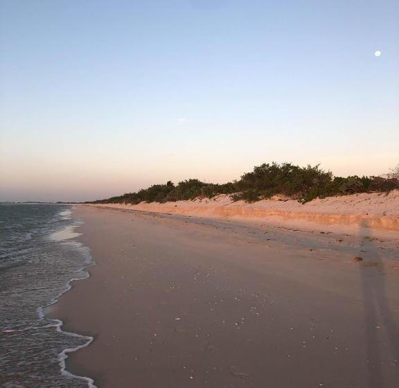 ホテル Club De Patos