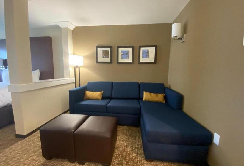 فندق Comfort Suites Midland West