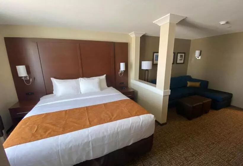 ホテル Comfort Suites Midland West