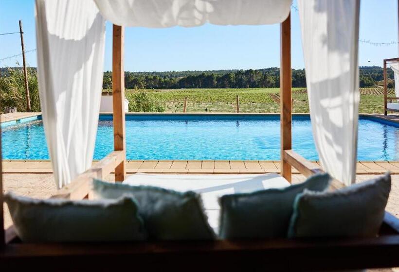 בית מלון כפרי Vilasira