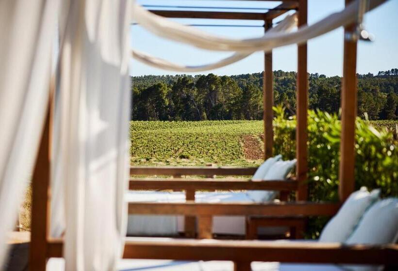 בית מלון כפרי Vilasira