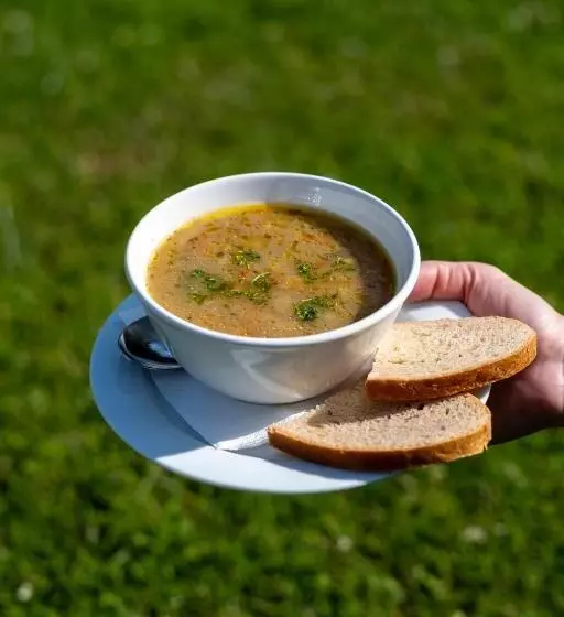 ペンション Lysečinská Bouda