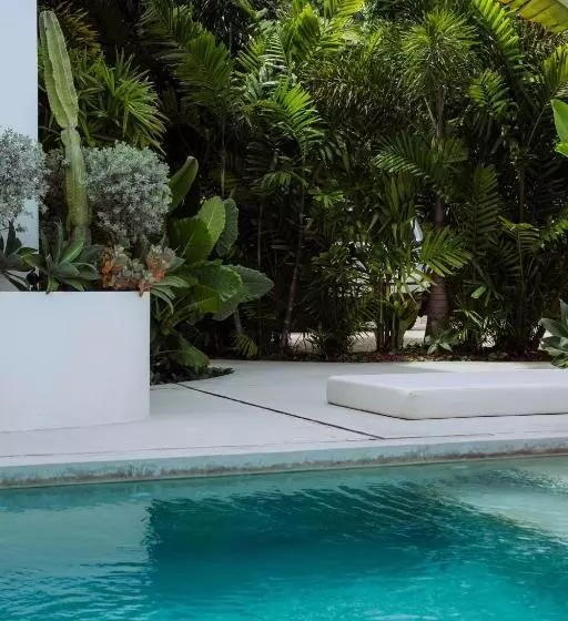 Sky House Santa Teresa   Adults Only
