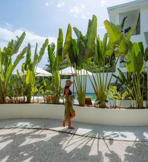 Sky House Santa Teresa   Adults Only