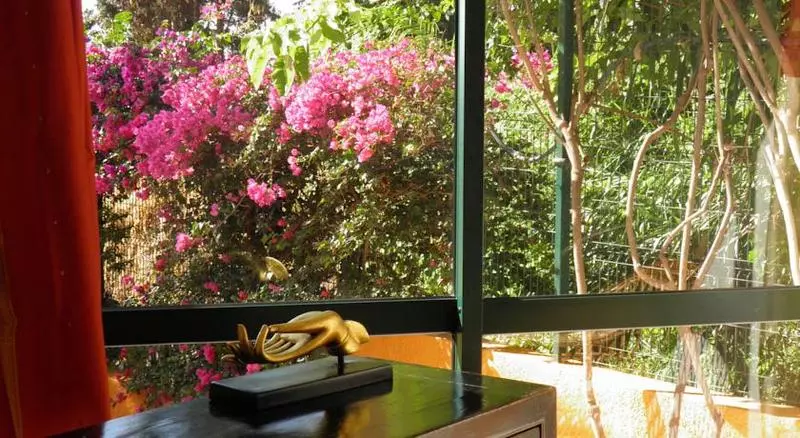 فندق Alpino Atlantico Ayurveda Cure Centre Adults Only