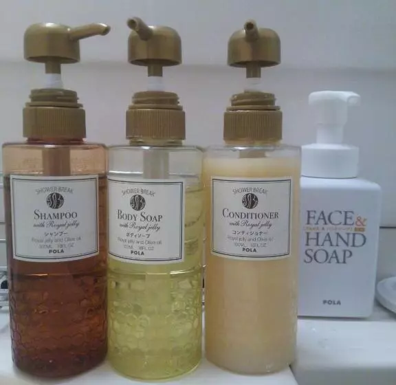 Chisun Hotel Hamamatsucho