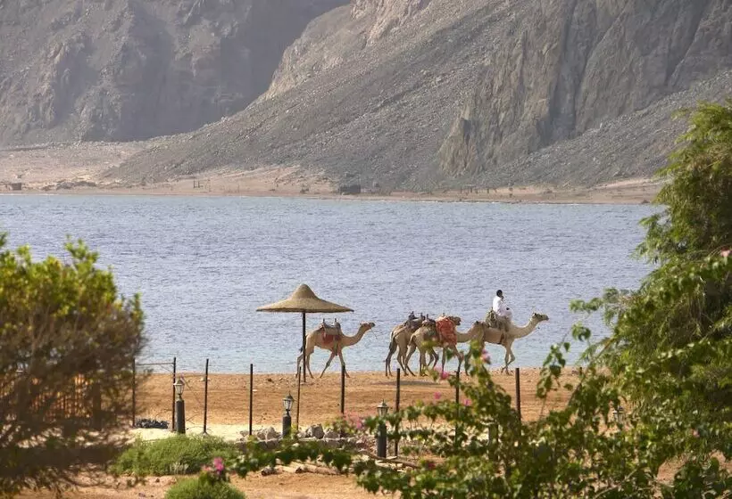 هتل Happy Life Village Dahab