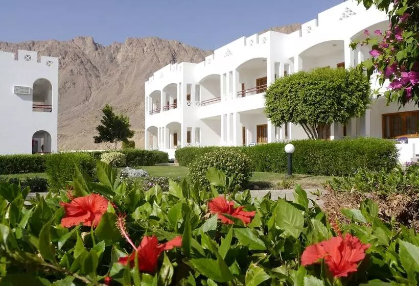 هتل Happy Life Village Dahab