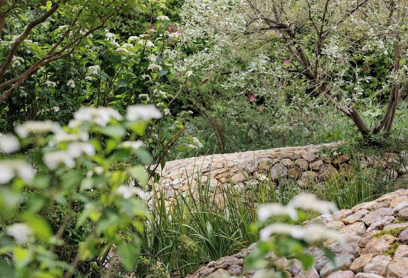 ホテル Omo7 Kochi By Hoshino Resorts