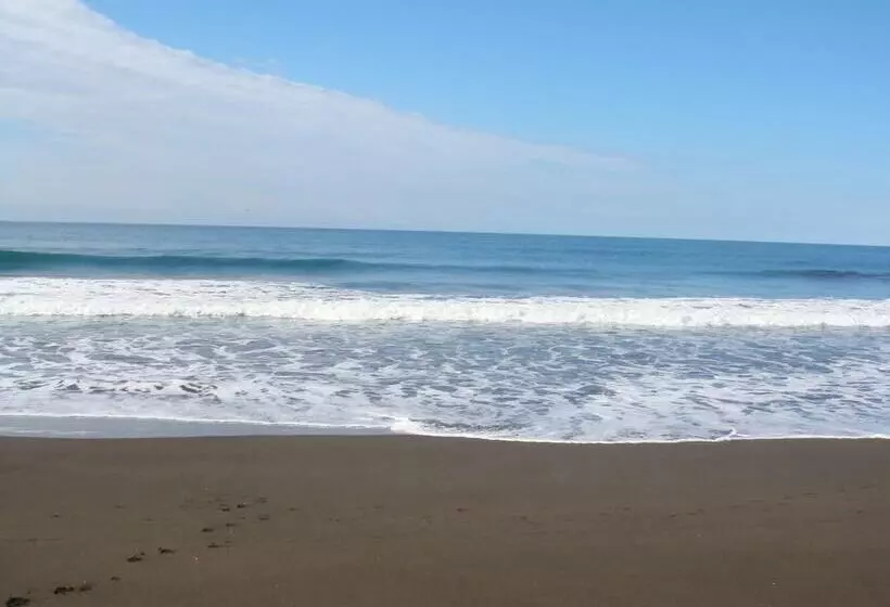 فندق Terraza Del Pacifico