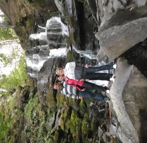 הוסטל Smerekovyi Dvir