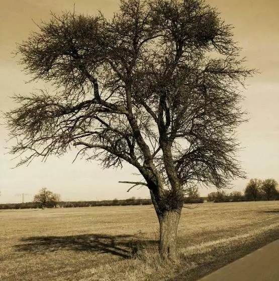 ユースホステル Landhotel Eichenkrug