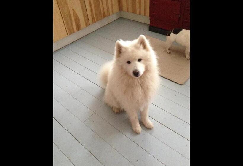 צימר Stora Topphem