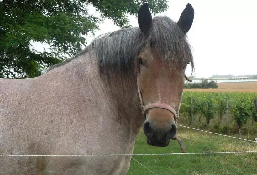 Majatalo Manoir De Vilaines