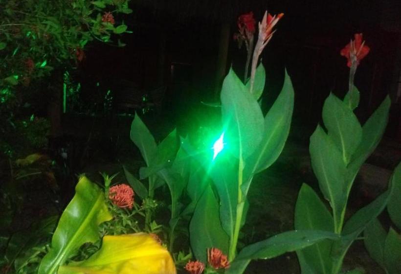 פנסיון Pousada Luar De Monte Cristo