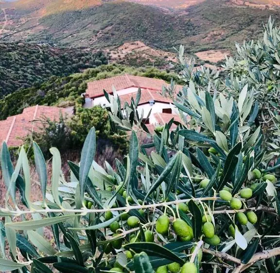 Pension Trasicca B&b