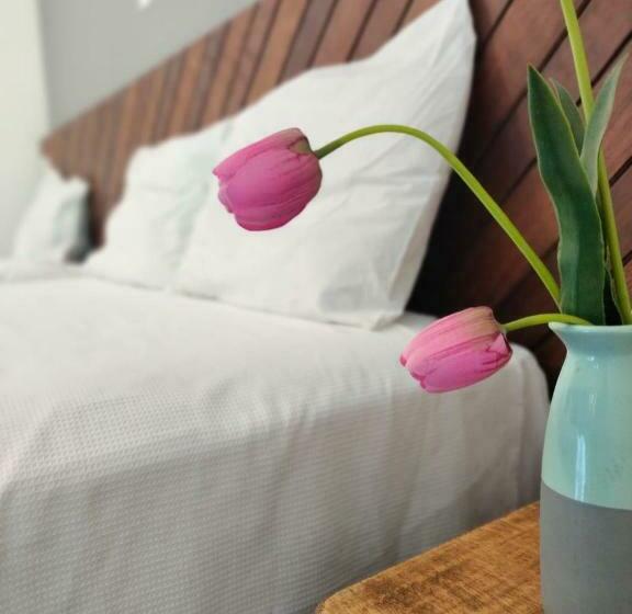 Ecohotel Vale Do Sol