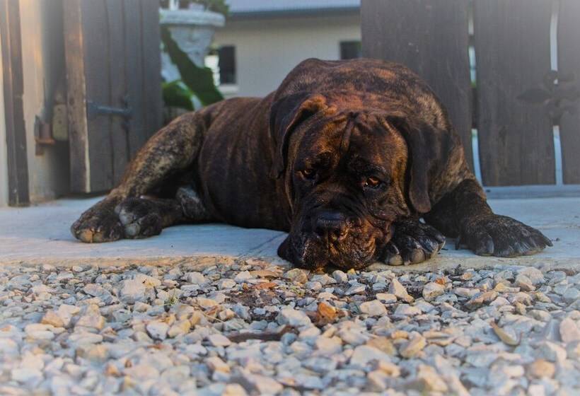 Pension Stoneridge Farm